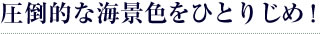 ����Ū�ʳ��ʿ���ҤȤꤸ�ᡪ