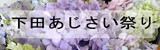 下田あじさい祭り