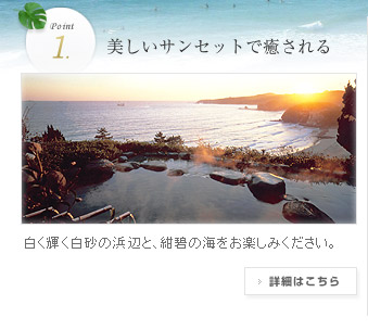 �������T���Z�b�g�Ŗ������