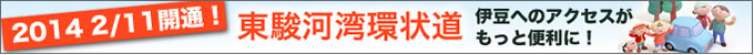 東駿河湾環状道