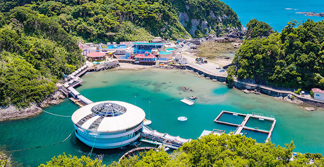 伊豆 下田の子ども連れおでかけ情報 伊豆下田温泉下田大和館 公式ｈｐ オーシャンビューのホテルと旅館をお探しの方