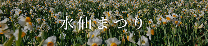 水仙まつり